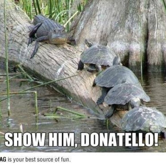 Meet your Posher, Truth - Picture 1 of 4